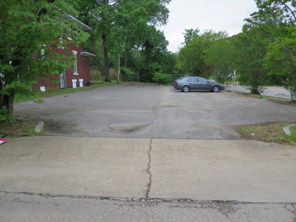 Picture 5