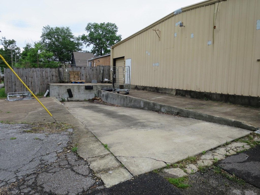 Picture 8