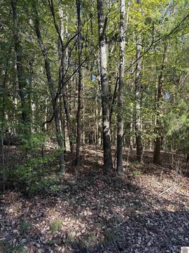 Waterfront Land Lot for Cabin