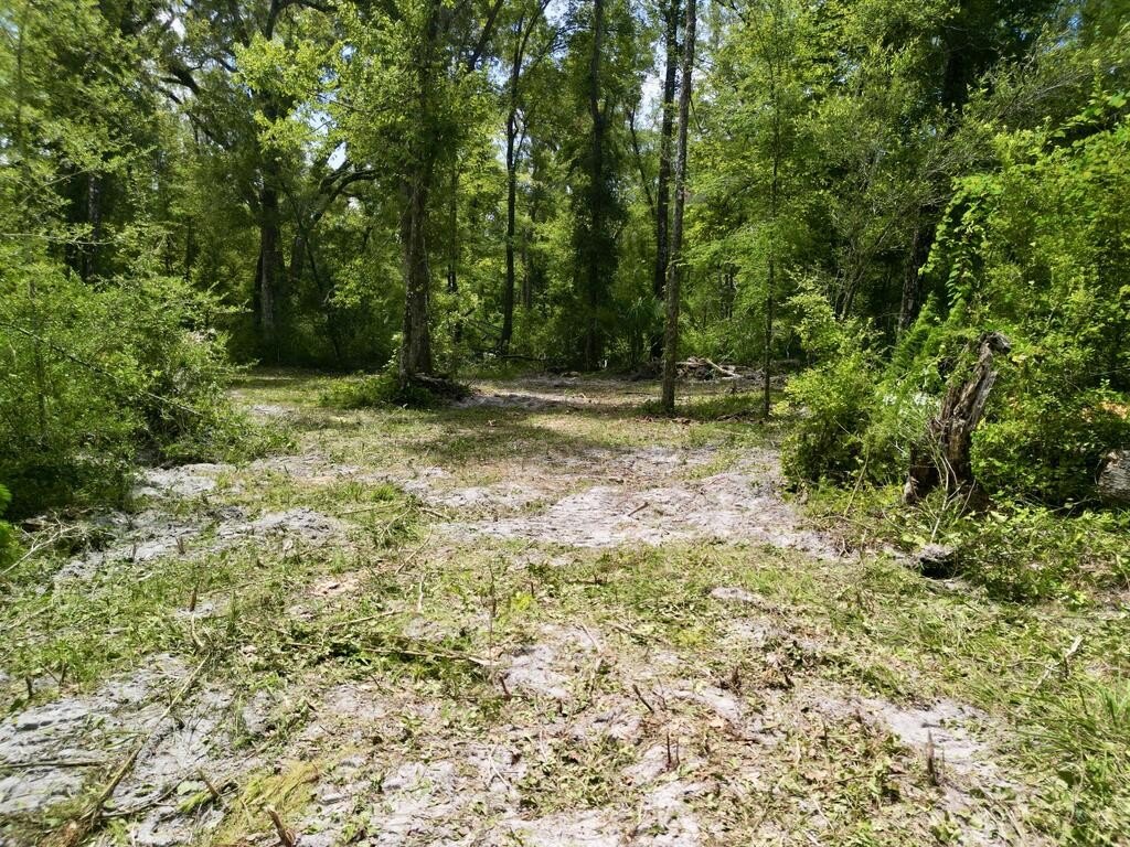 Picture 9