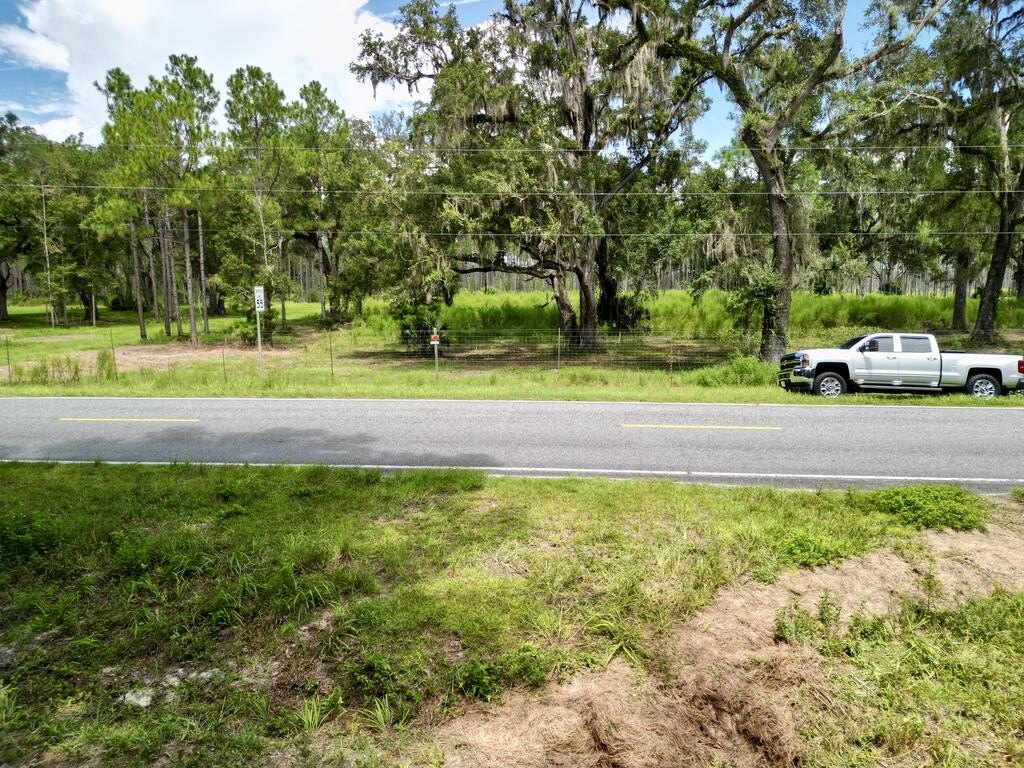 Picture 21