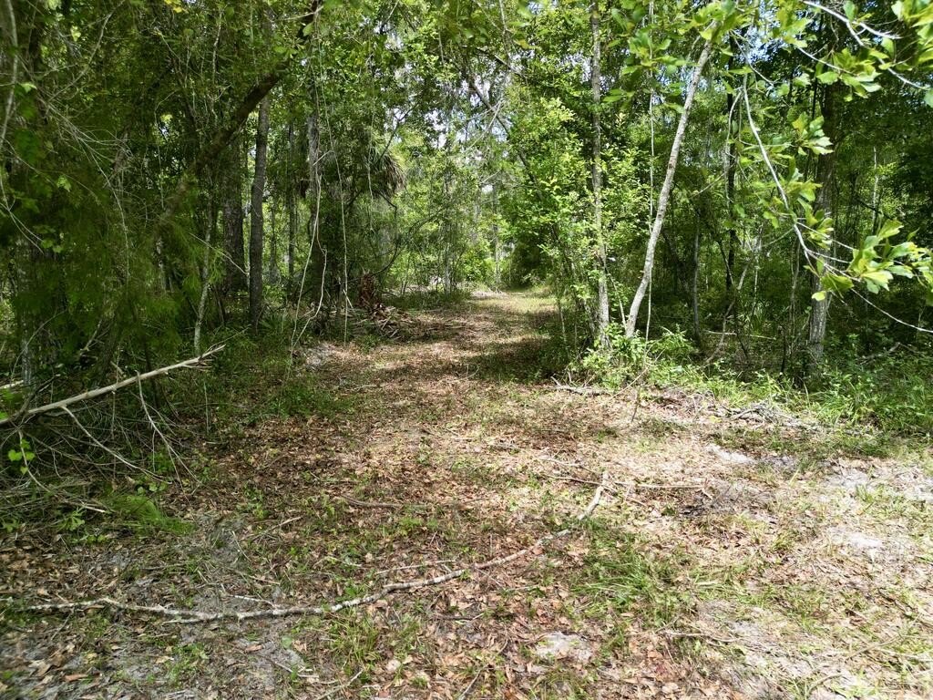 Picture 16