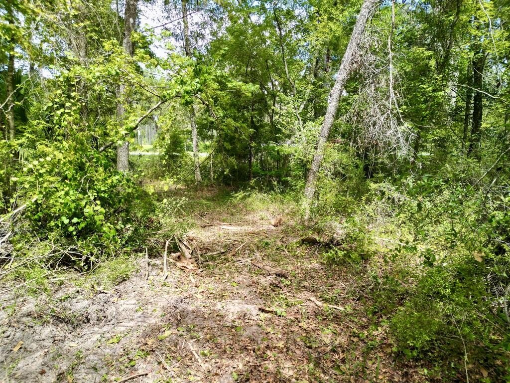 Picture 18