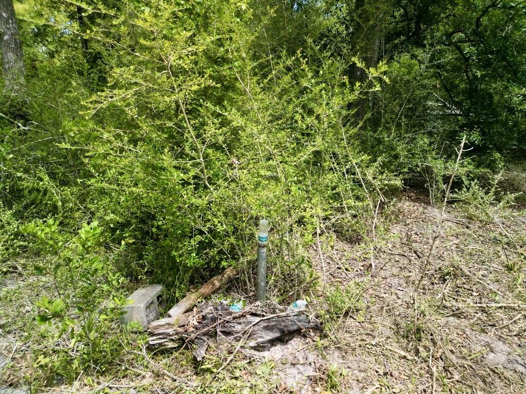 Picture 14