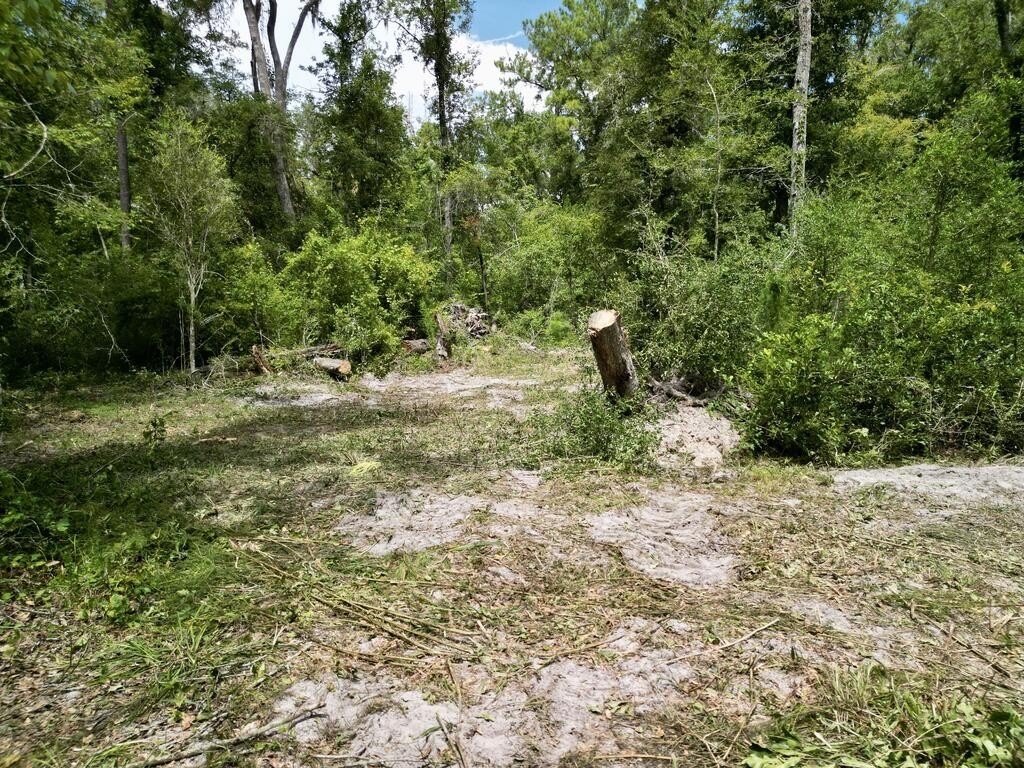 Picture 13