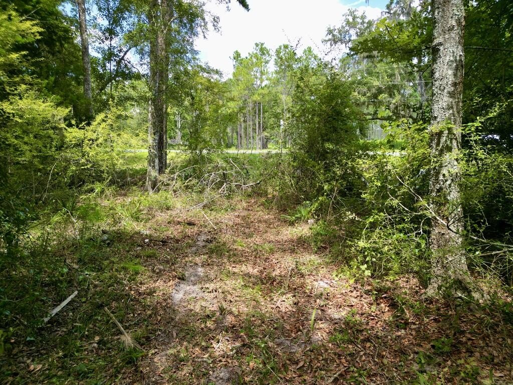 Picture 20