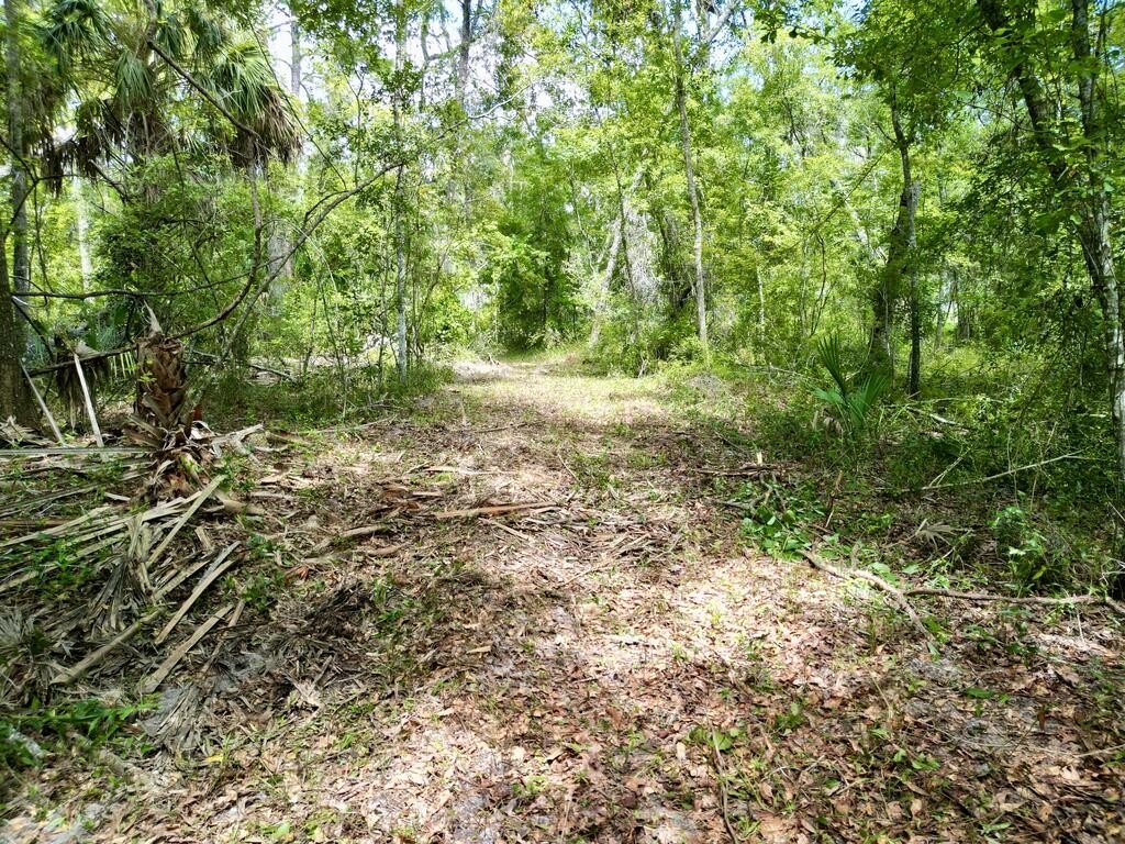 Picture 17