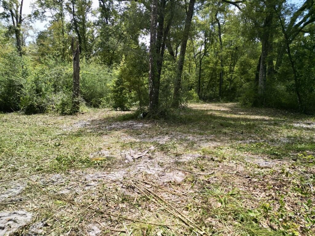 Picture 11