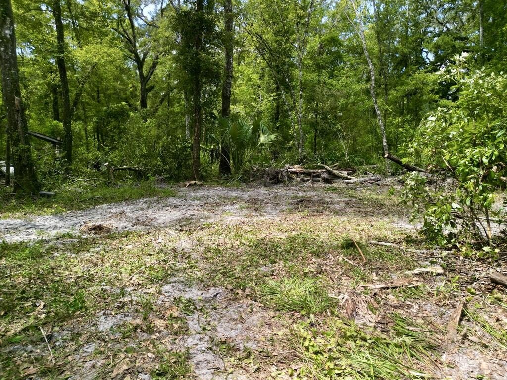 Picture 12