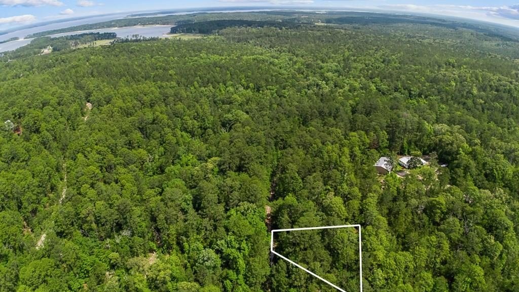Rayburn Country Wooded Lot