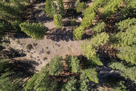 Land, Portola, CA