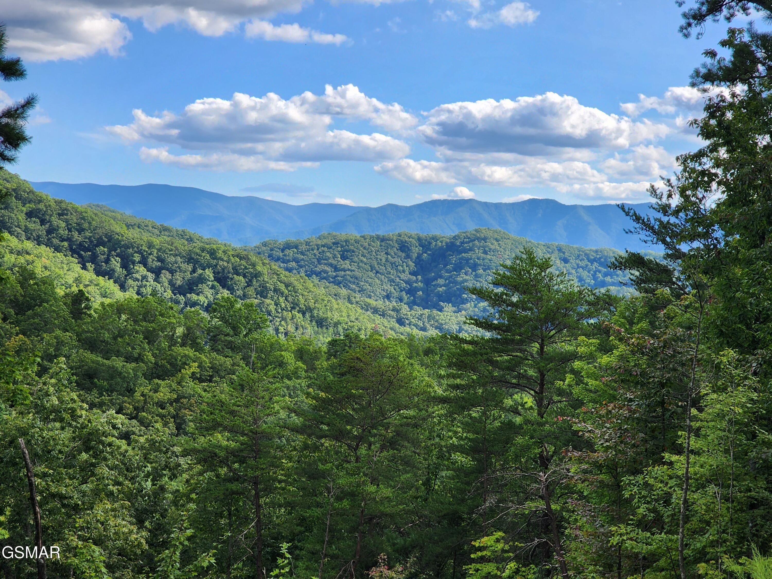 332 Acres Near Blackberry Mountain