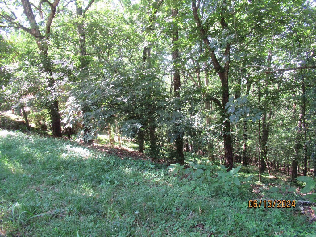 Picture 5