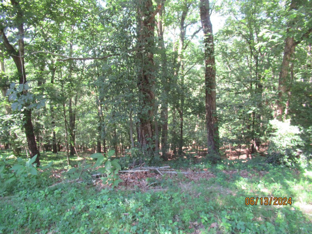 Picture 4