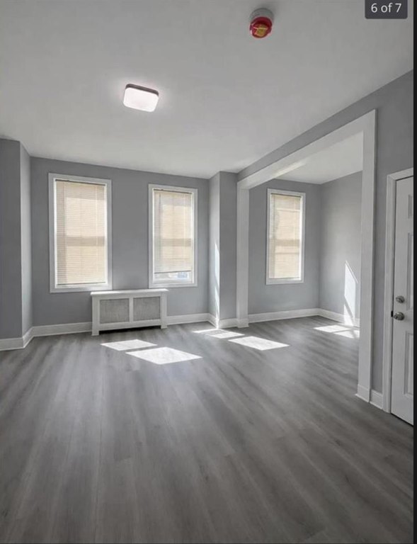 Picture 7