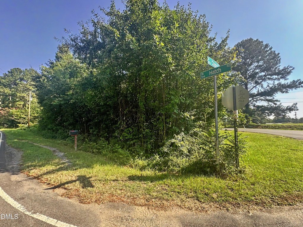 Picture 17
