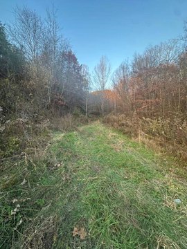 Recreational Hunting Land with Barn
