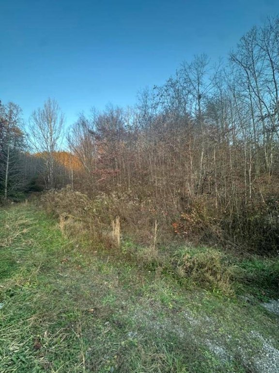 Picture 8