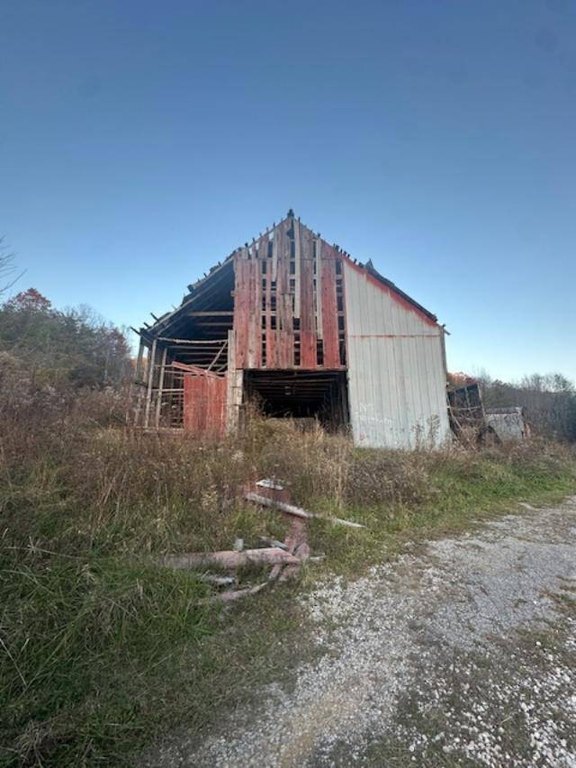 Picture 6