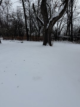 Flossmoor Commercial Development Opportunity