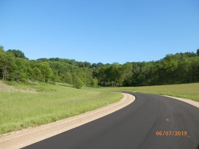 Picture 7