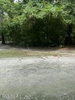 Picture 3