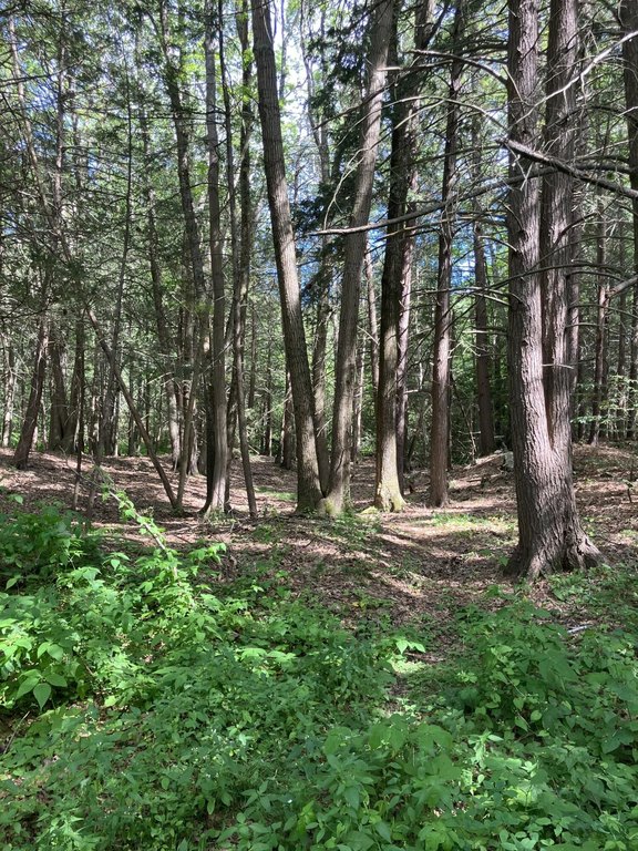 Picture 21