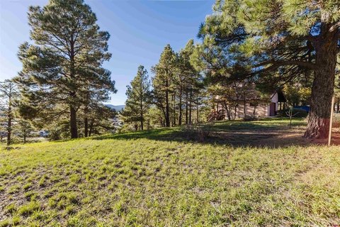 LAND, Pagosa Springs, CO