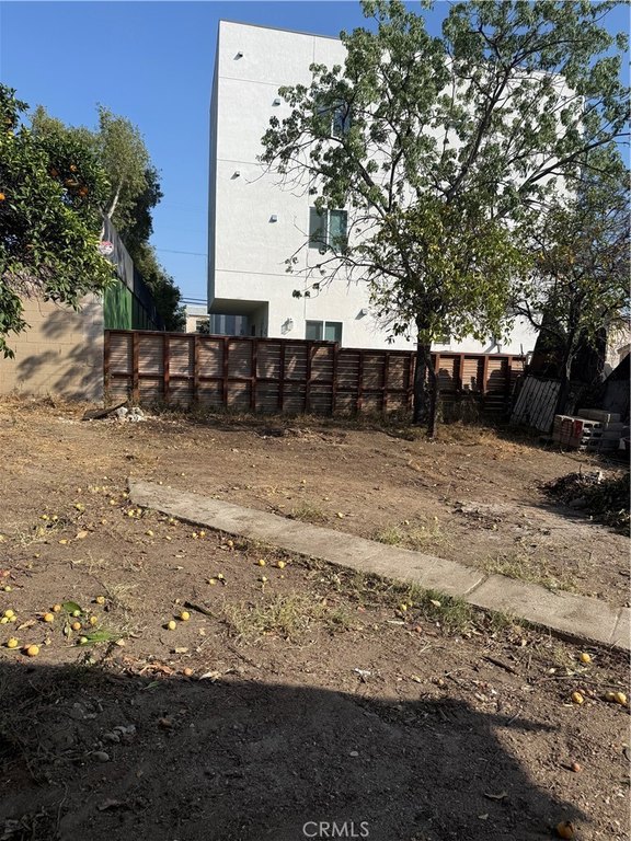 Picture 5