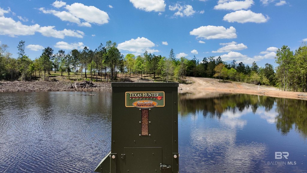 Picture 45
