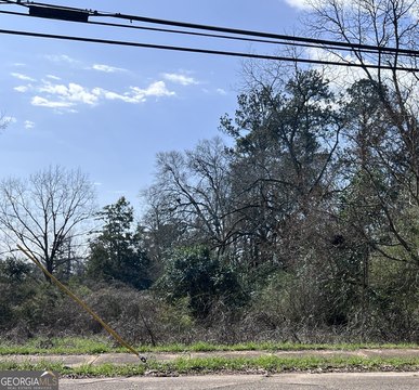 Richland, GA Land Opportunity
