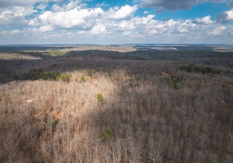 204 Acres Near National Forest