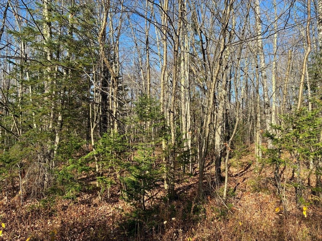 Picture 17