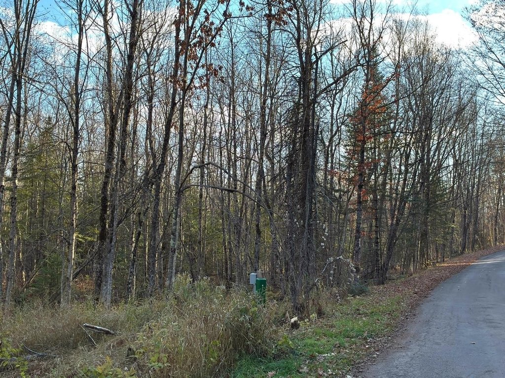 Picture 23
