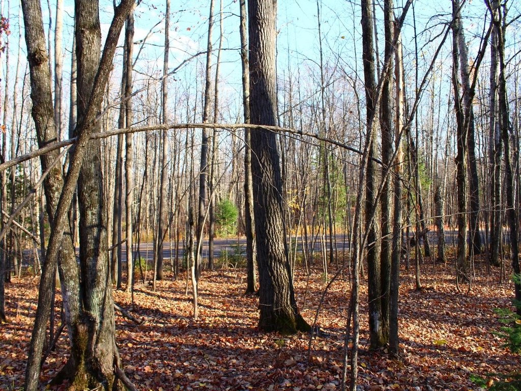 Picture 5