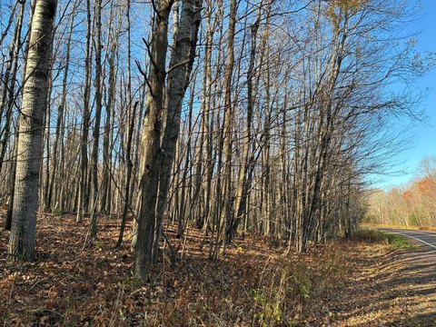 Land, Upson, WI