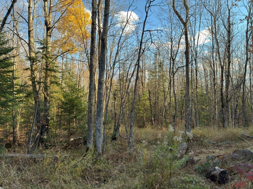 Picture 26