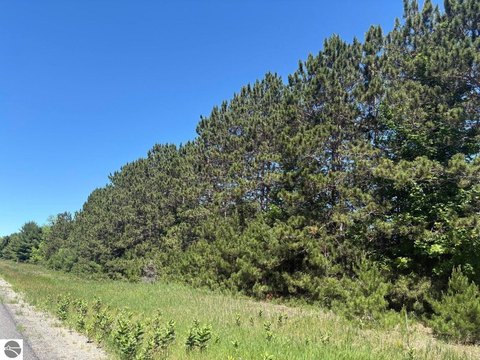 BEAR LAKE, MI