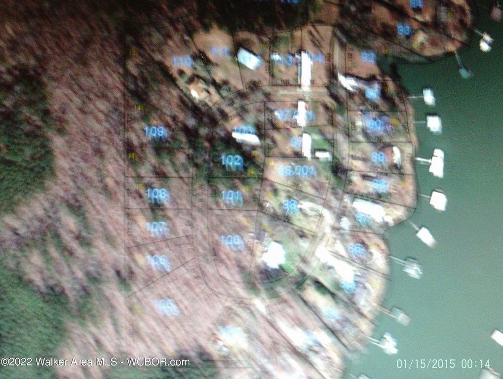 Picture 3