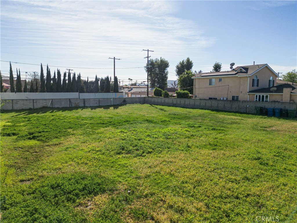 Picture 5