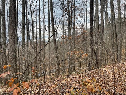 Buildable Mountain Parcel in Whittier