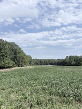 VACANT LAND, Columbus, MI