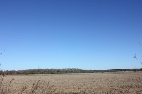 Lufkin, TX Rural Acreage