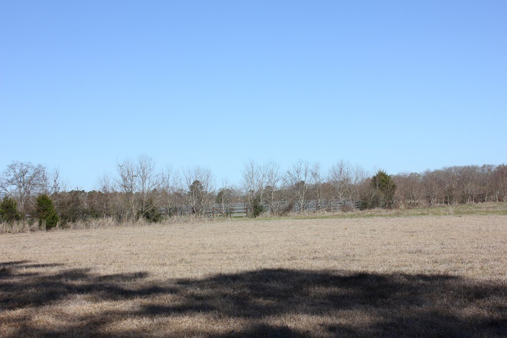 Picture 4
