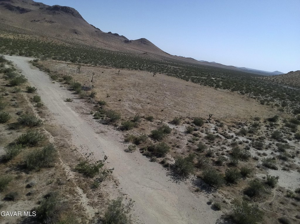 Picture 3
