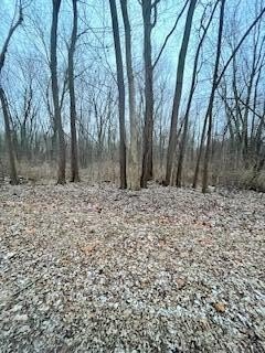 Royalton Township Wooded Sanctuary