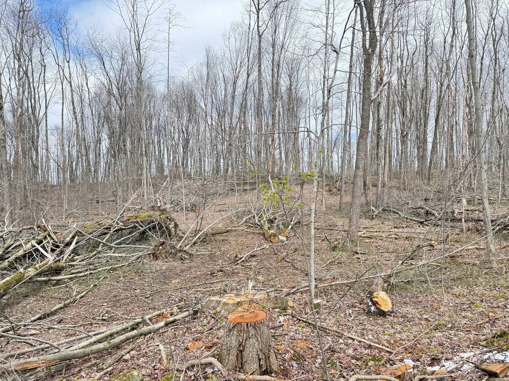Picture 18