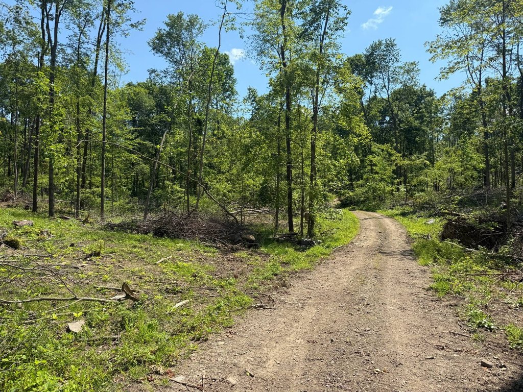 Picture 26