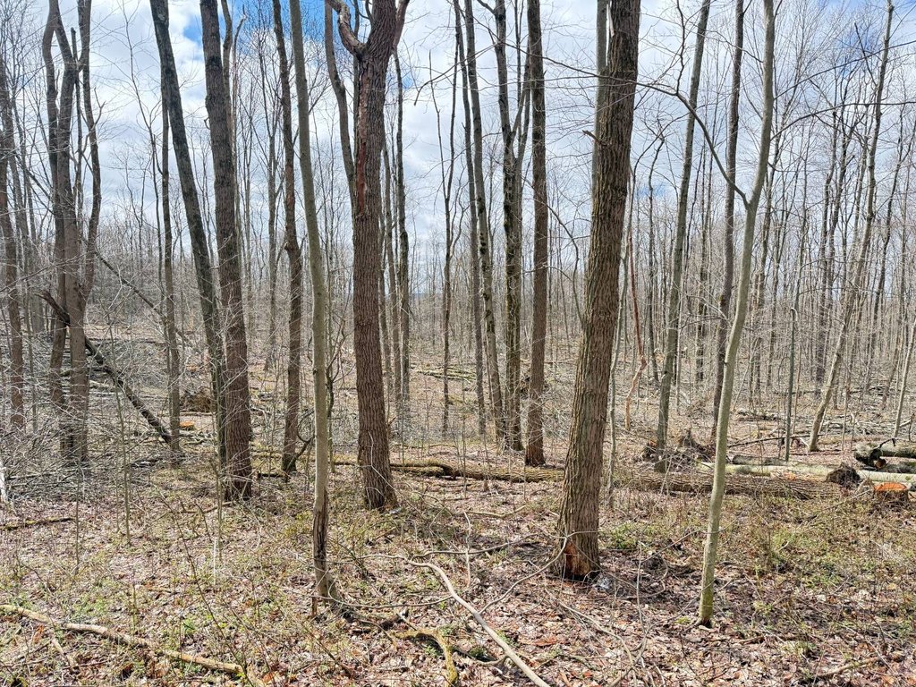 Picture 13