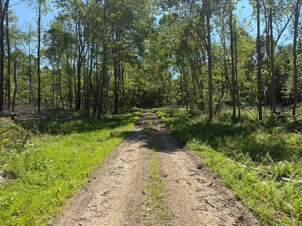 Picture 4